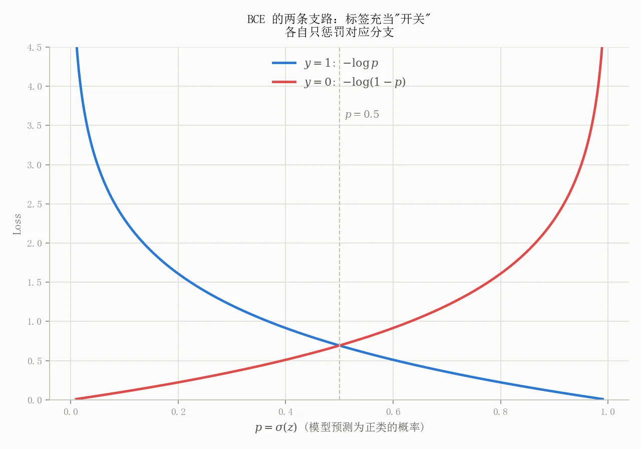 BCE 的两条支路:标签充当"开关",各自只惩罚对应分支