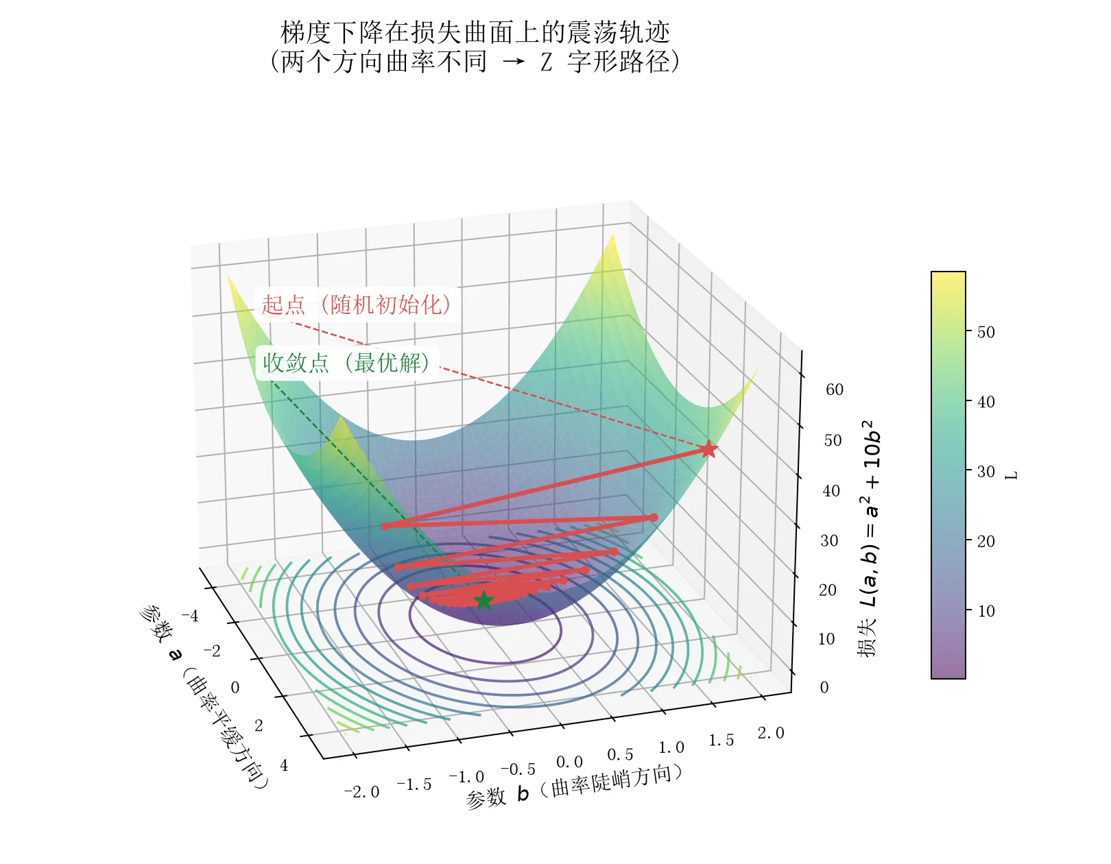 梯度下降在病态曲率损失曲面上的震荡轨迹(真实计算生成)